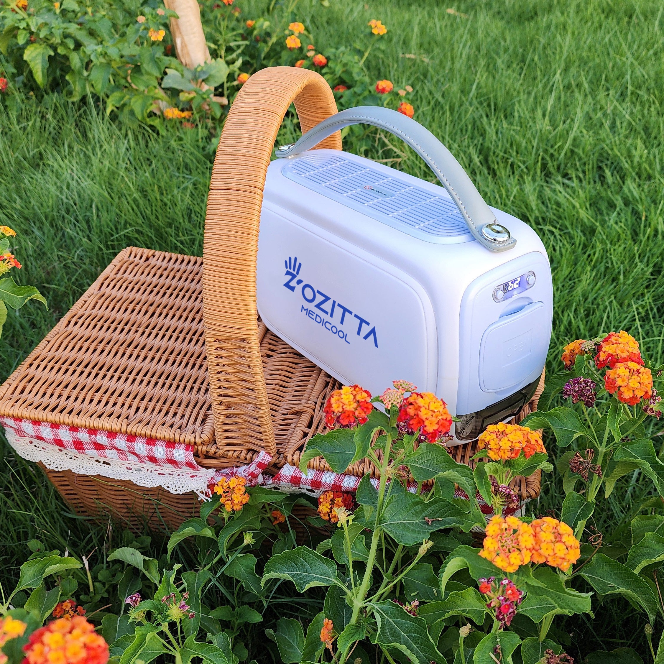 الثلاجة الصغيرة المحمولة من زوزيتا، ثلاجة تبريد للسفر. 